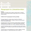 Procesbeskrivelse for Styregruppen