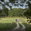 Fælles kommuneplan