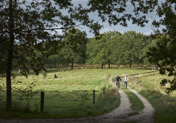Fælles kommuneplan